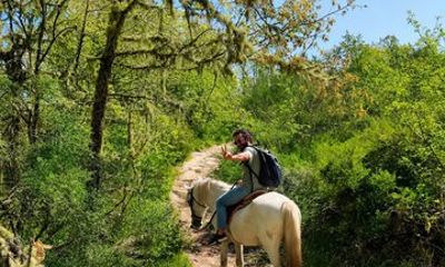 From Porto Douro Countryside Horse Riding Day Trip and Lunch
