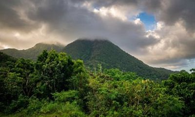 Katy Hill Hike with Guide from Woodlands Montserrat