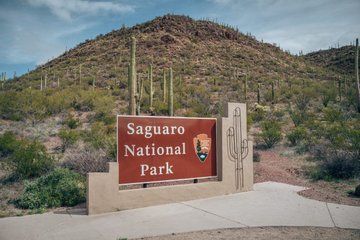 Saguaro Tombstone and Bisbee Private Day Tour from Scottsdale