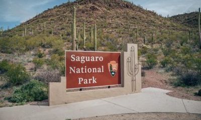 Saguaro Tombstone and Bisbee Private Day Tour from Scottsdale