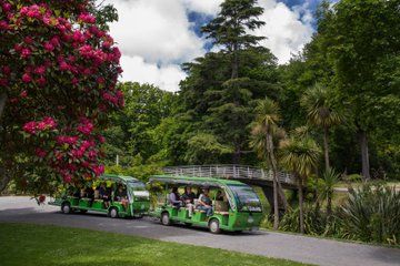 Christchurch Botanic Gardens Tour