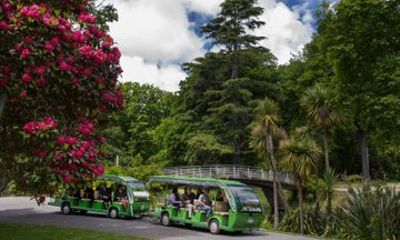 Christchurch Botanic Gardens Tour