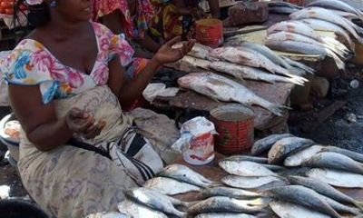 Accra City Tour by Car Explore the Best of Ghana's Capital