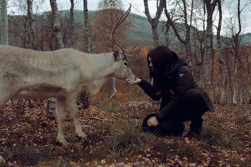 Reindeer Feeding & Sámi Culture Experience in Autumn