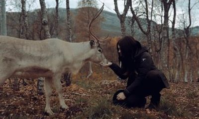 Reindeer Feeding & Sámi Culture Experience in Autumn
