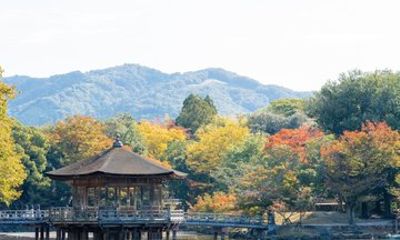 Private Tour of Nara with Todaiji Deer and Kasuga Taisha