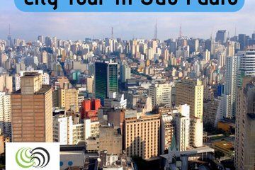 8 hours Private City Tour in São Paulo