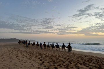 Tangier Golden Sunset: Camel Ride , Tea with pastries & Caves