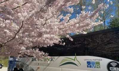Vancouver Bus Transfer from or to Whistler
