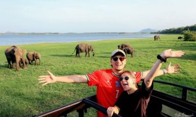 Minneriya National Park Private Jeep Safari with Expert Guide