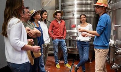 Private Half-Day Languedoc Wine Tour from Cap d'Agde