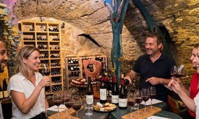 Krumlov Wine Tour: Wine Degustation, Schiele & Art Galleries