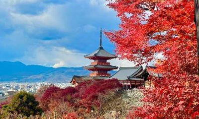 Visit Fushimi Inari Taisha and Kiyomizudera with Guide in Spanish