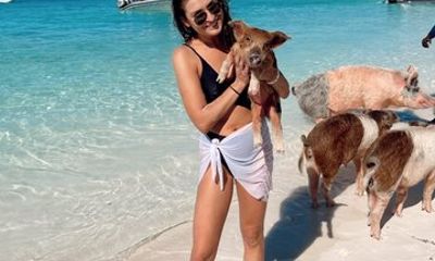 Epic Exuma Escape: Swimming Pigs, Sharks & Beyond | Full Day
