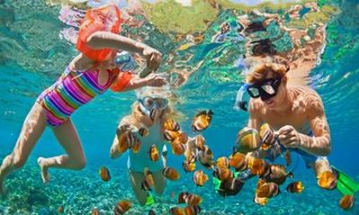 Grand Cayman City and Reef Snorkel