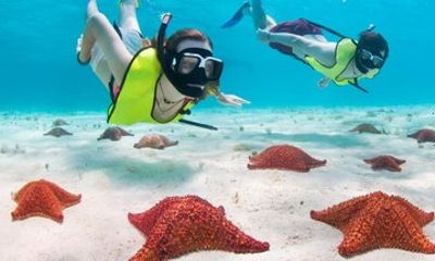 Grand Cayman Stingray City, Reef Snorkeling and Starfish Point