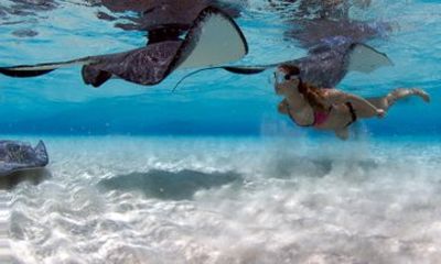 Grand Cayman Stingray City Coral Gardens and Barrier Reef Snorkel
