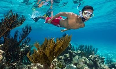 Grand Cayman Stingray City Plus Reef Snorkeling