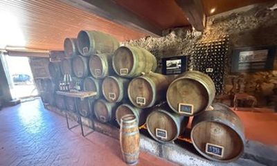 Transfers and Travel Tours in Portugal with Readership Veloz
