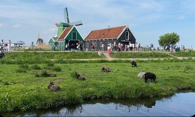 Zaanse Schans and Zaandijk: old windmills, chocolate & brewery