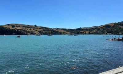 Private Akaroa Day Trip from Christchurch