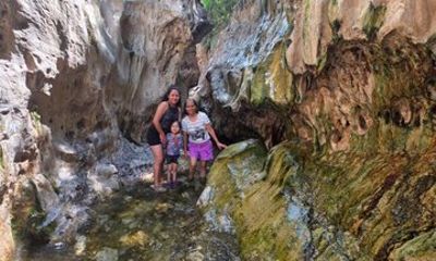 Explore Las Salinas, Mezcal and Tule Tree Factory
