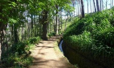 Madeira Serra d’Água Scenic Levada Walk