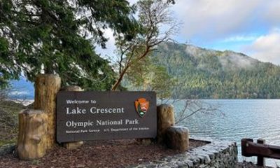 From Seattle: Hoh Rain Forest and Rialto Beach Tour