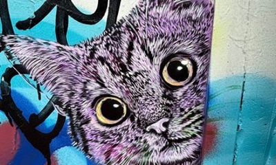 RiNo Street Art Stroll - Tour of Denvers Famous Murals & Graffiti