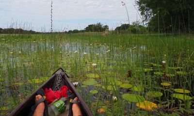 Guided Mokoro Tours in the Maun Educational Park
