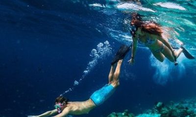 Snorkeling Trip At Port Ghalib Marina From Marsa Alam