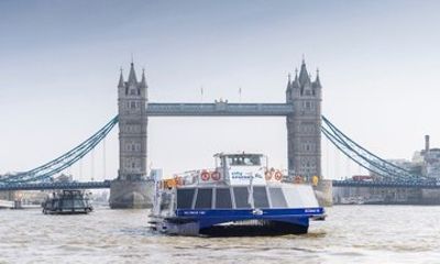 One-Day Unlimited City Cruises River Pass