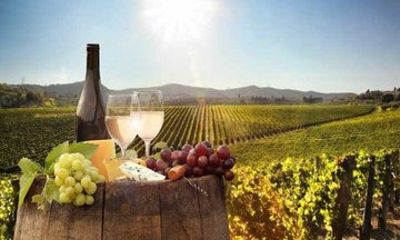 Paarl Franschhoek and Stellenbosch Wine Tasting Tour Full Day