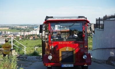 Wine Tasting Tour - by Oldtimer Bus in Famous Local Wine District
