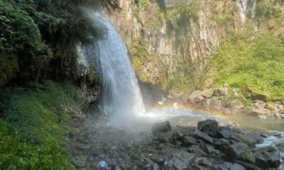Hiking to Secret Waterfalls of the Coatepec Fog Forest