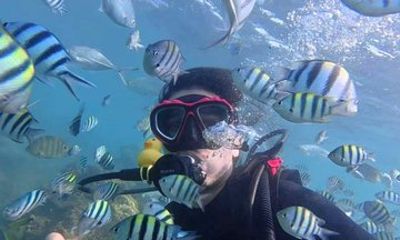 Premium DSD Diving Experience in Sanya All Inclusive Package