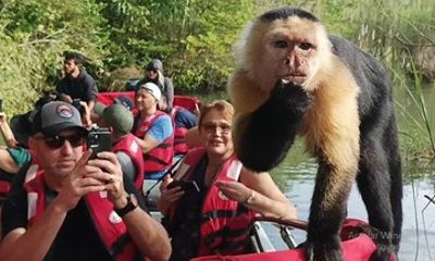 Panama Canal Animal Safari + Fruit Market