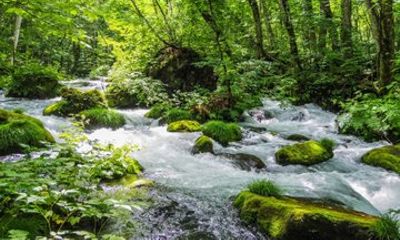 Crystal River Gorge and Volcanic Lake Tour