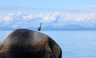 Seal Bay Nature Walk