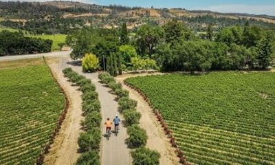 St. Helena Vine Trail E-Bike Rental