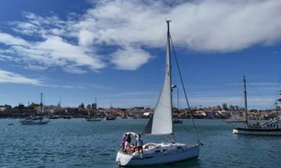 Sailing Experience Half Day at Sea