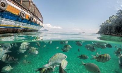 Paraty and Grande Island 3-Day Green Coast Road Trip