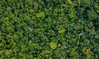 Discover Malaysia Rainforest Highlands and Heritage 4 Days Tour