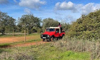 Safari 4x4 4 hours Albufeira Algarve