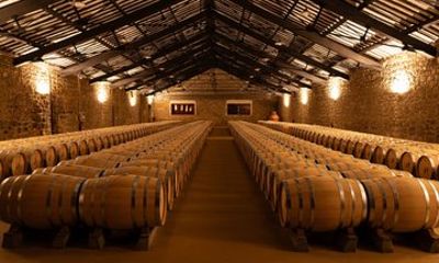 La Rioja Wine Region Private Tour from Bilbao