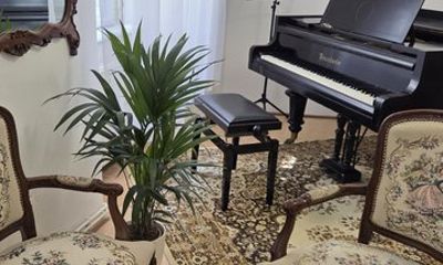 Budapest Classical Salon Concert in a 19th Century Style