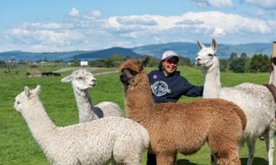 Rotorua Farm & Forest Private Tour from Auckland