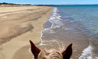 Shared Horse Riding and Kourouta Beach Tour from Katakolo