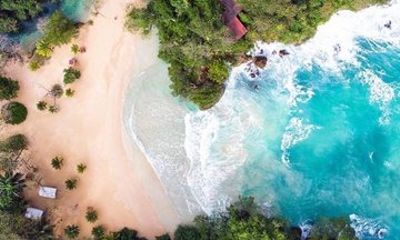 Private Blue Lagoon, French Man Cover & Boston Jerk Center Tour