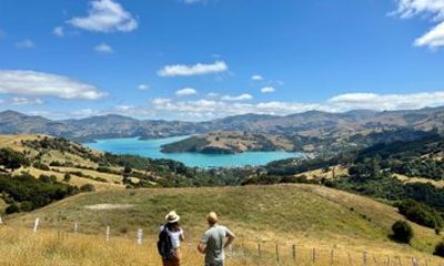 Private Akaroa Day Trip and Nature Cruise from Christchurch
